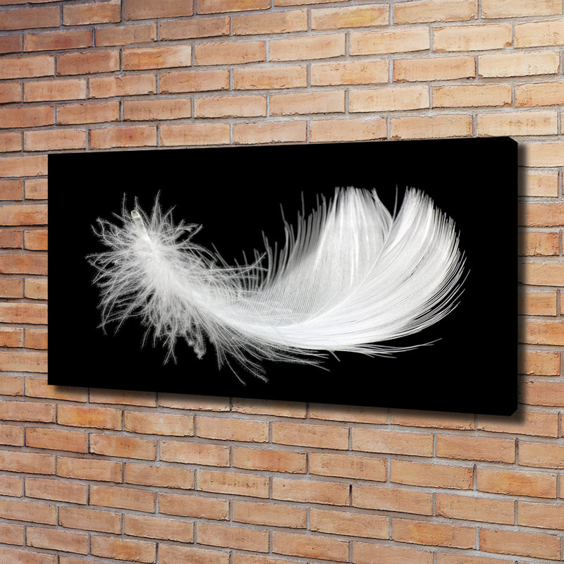 Feather - Wrapped Canvas Print
