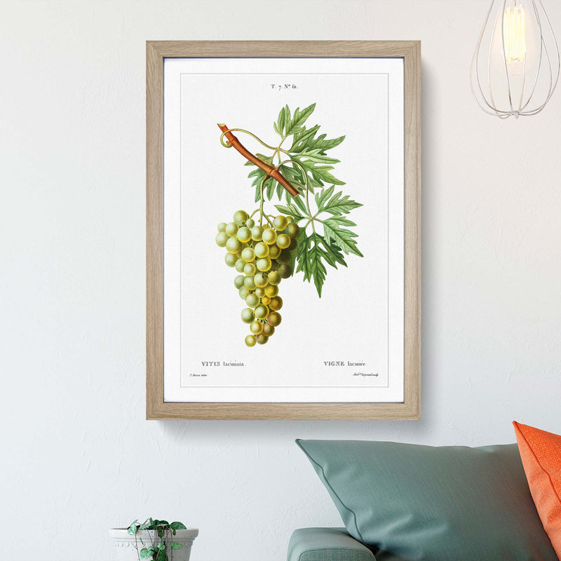 Green Grapes by Pierre-Joseph Redoute - Picture Frame Painting Print, 65cm H x 48cm W x 2cm D, Oak Framed