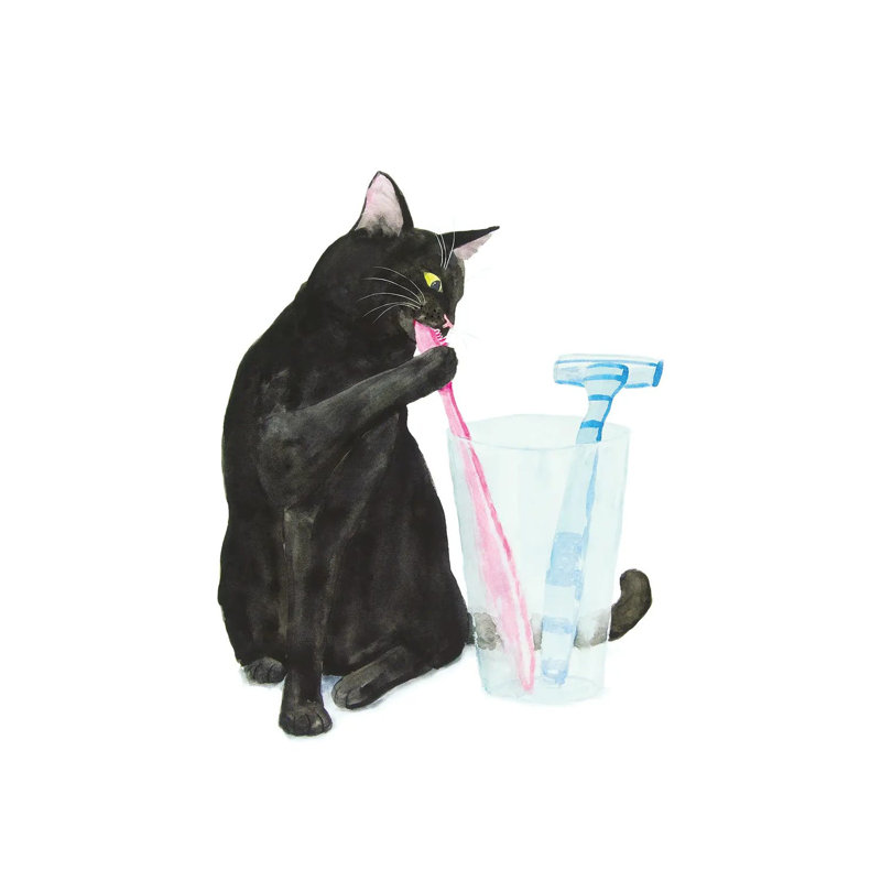 Black Cat Brushing Teeth 1 Piece Wrapped Canvas Painting, 30.48 cm H x 45.72 cm W