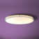 Oracle Acrylic Flush Mount