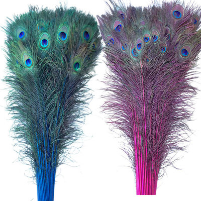 Feathers