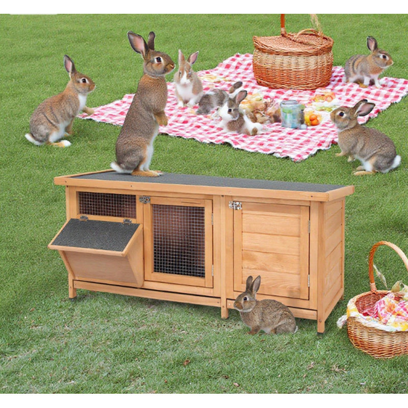 Cage à lapin