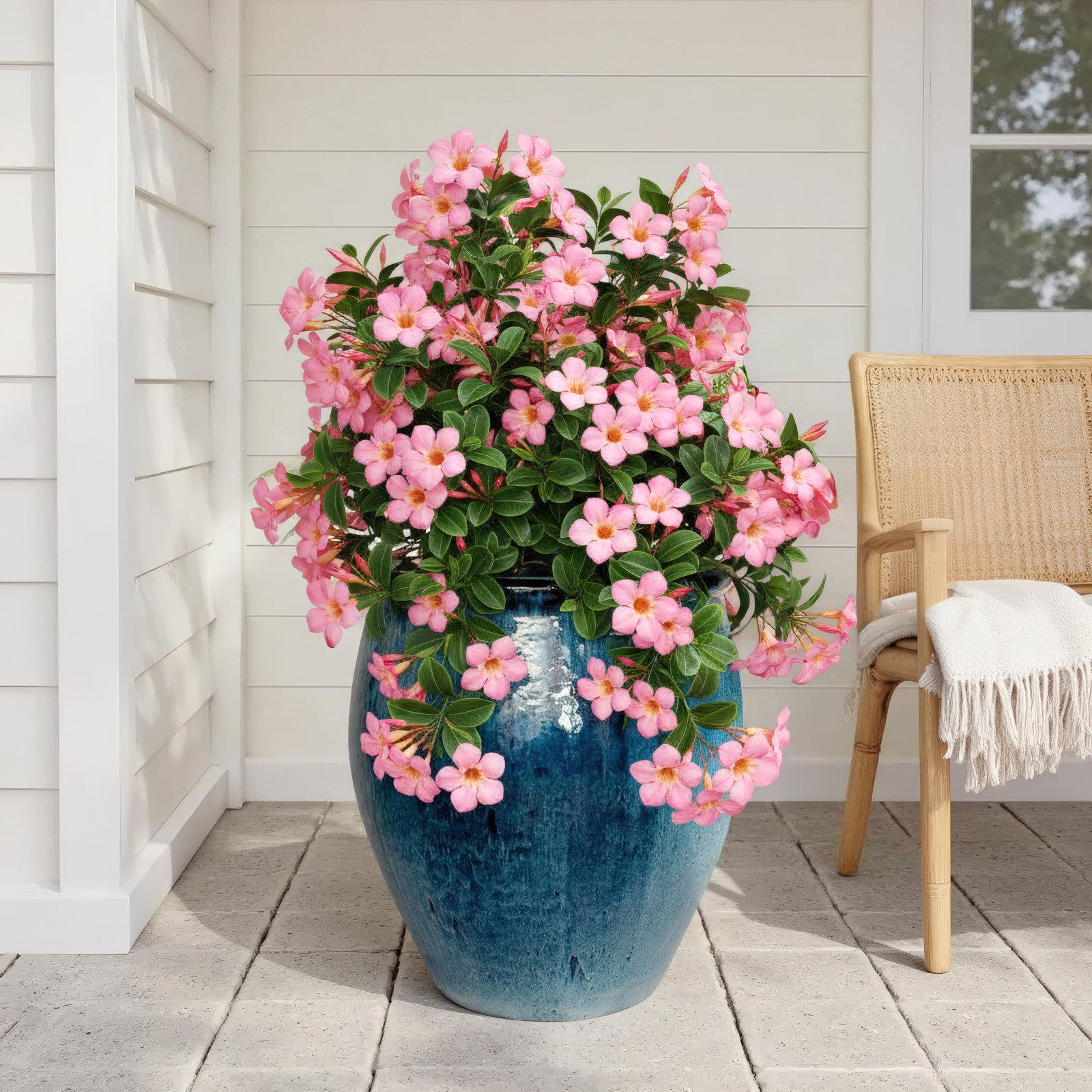 Blasdell Ceramic Pot Planter, 30" H x 25" W x 25" D, Quin Blue