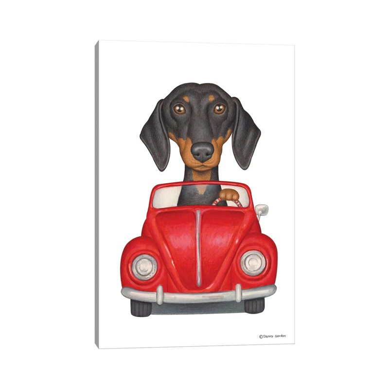 Dachshund Red Beetle by Danny Gordon - Wrapped Canvas Print, 66.04 cm H x 45.72 cm W