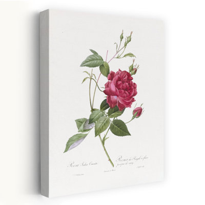 Blood Red Bengal Rose Abstract Retro Vintage Flower Landscape Wall Art