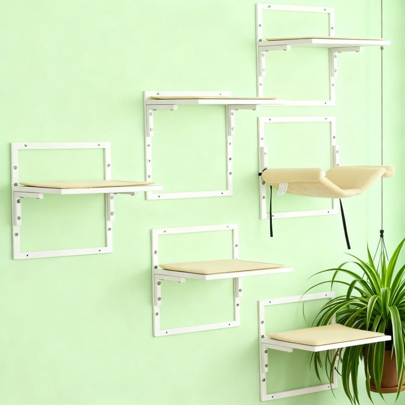 Ensemble de tablettes murales et de perchoirs muraux pour grimper et se prélasser