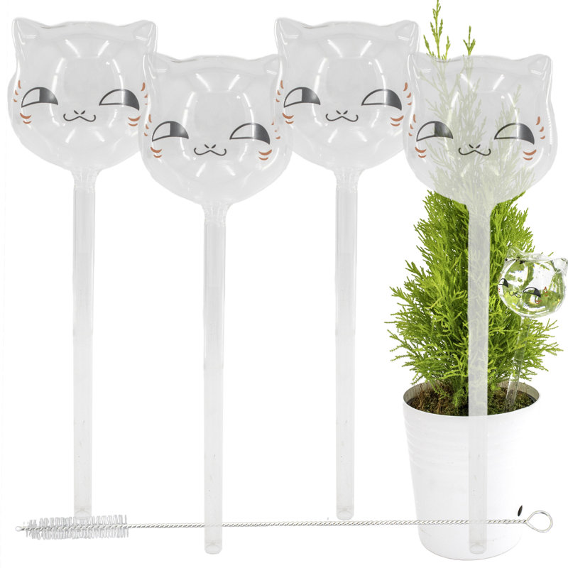 Globes de chat pour aqua en verre Aqua 