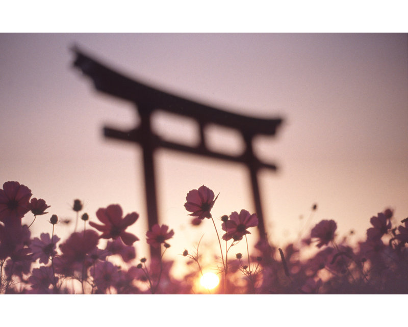 Wrapped Canvas Print, 60.96 cm H x 91.44 cm W