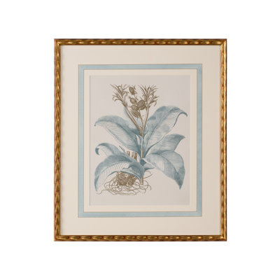 Besler Botanicals in Willow Blue III