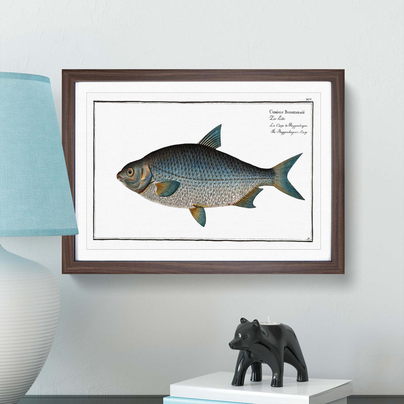Buggenhagen's-Carp Fish by M.E. Bloch - Picture Frame Graphic Art Print, Walnut Framed, 62cm H x 87cm W x 2cm D