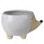Cache-pot Alinuswe