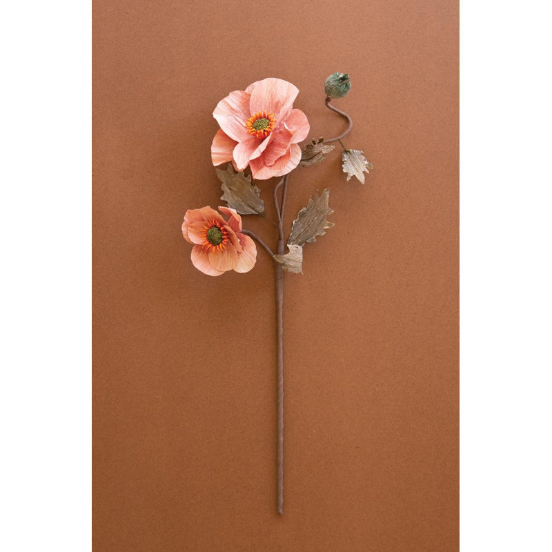 BOTANICA # 2889