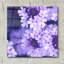 «Fleurs mauves 2» par PhotoINC Studio-1787466536