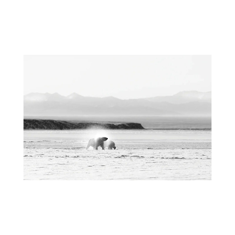 Shake by Eiji Itoyama - Wrapped Canvas Print, 20.32 cm H x 30.48 cm W