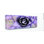 «Close Up Purple Succulent with Gold Patterns» par Daphne Polselli, impression