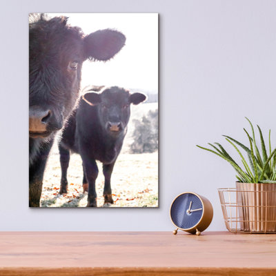  «Cow Jumeled Together» par Life BeautifuLEE, art mural en verre acrylique, 12 po x 16 po