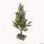 Ensemble de 2 arbres de Noël en PVC sur base en bois avec neige, 13,5 po