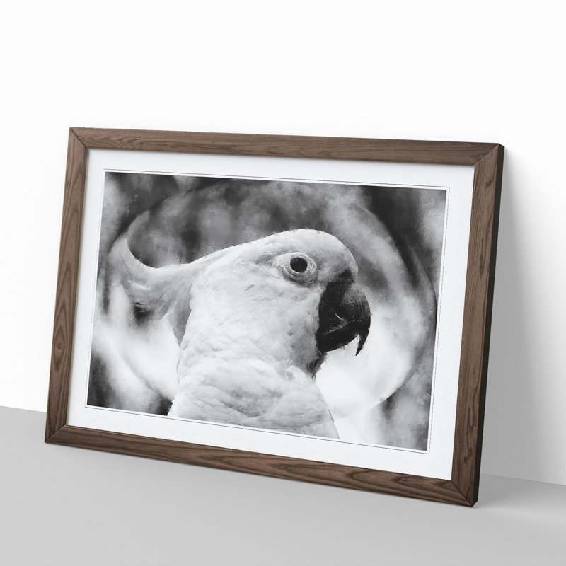 Cockatoo Bird Vol.2 - Picture Frame Graphic Art, Walnut Framed, 36cm H x 48cm W x 2cm D