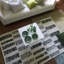 Cormo Forest Rug-1089860321