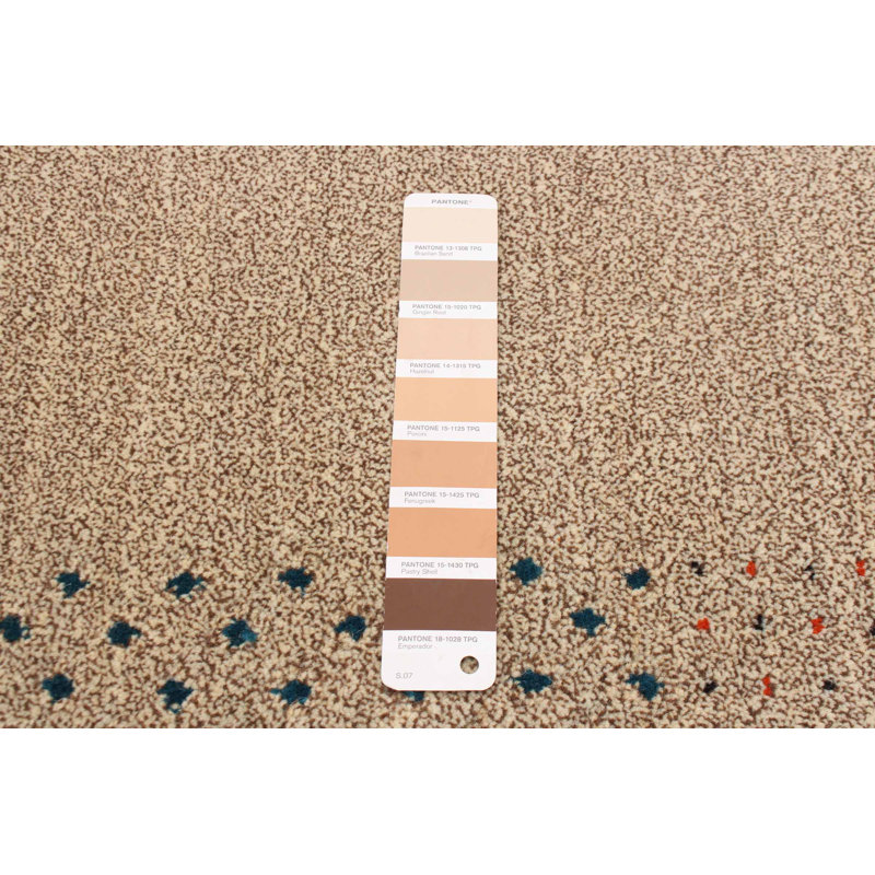 Tapis oriental en laine noué à la main brun clair Frasca, Rectangle 4 pi x 6 pi