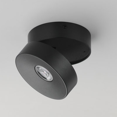 Swinger-Flush Mount