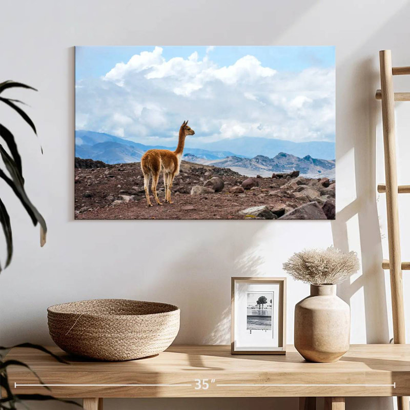 Vicuna, 16" H x 24" W