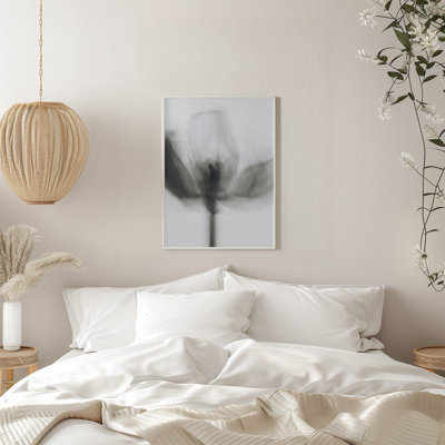 Tulipe mono