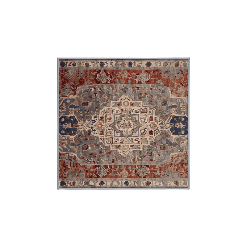 Machine Washable Brown Area Rug, Square 4'