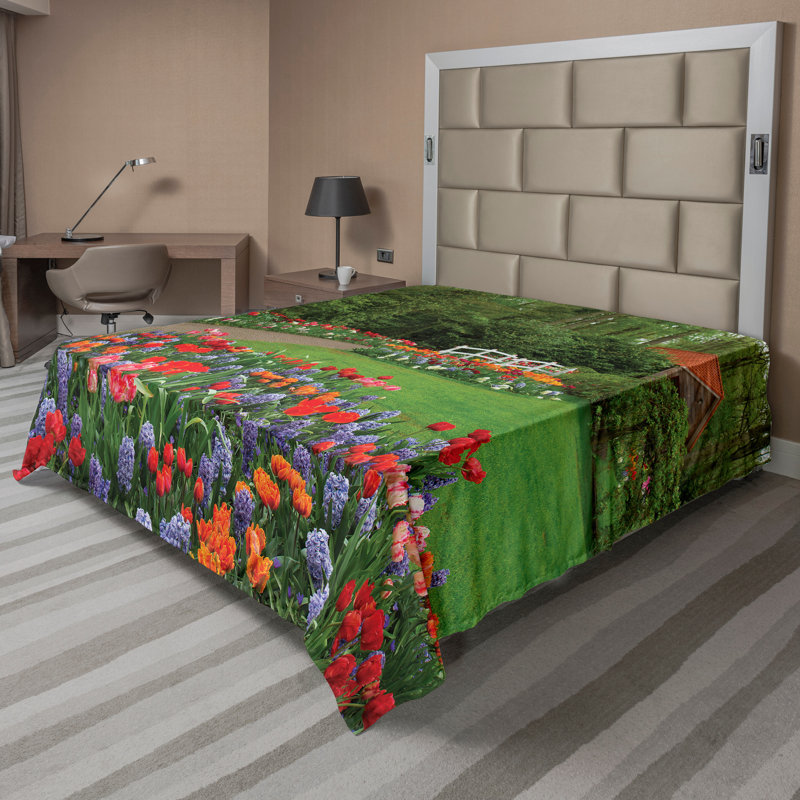 Drap plat Ambesonne, Drap plat grand