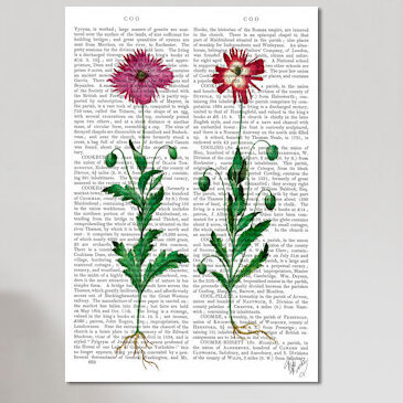 «Italian Carnation III», impression sur toile, H 12 po x l 8 po x P 0,75 po, Toile tendue, Pas de tapis