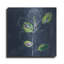 «Eucalyptus On Blue» par Linda Woods-672724139