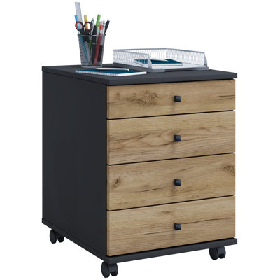 Rayiona 42cm Wide File Cabinet