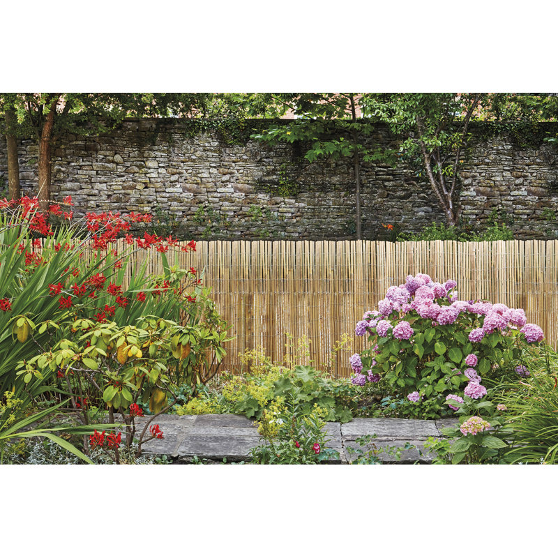 Talavera 120cm H x 400cm W Wood Expanding Trellis