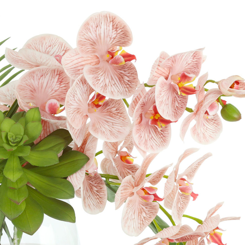 Orchid and Succulent Arrangement