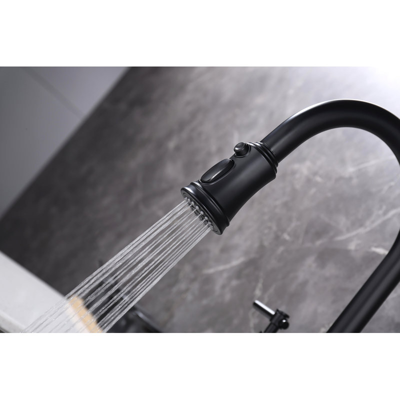 Bridge Kitchen Faucet With Pull-Down Sprayhead In Spot, Matte Black