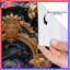 Rideaux de douche Ornate-2023086761