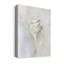 " Soft Shell I " by Tava Studios-1325402599