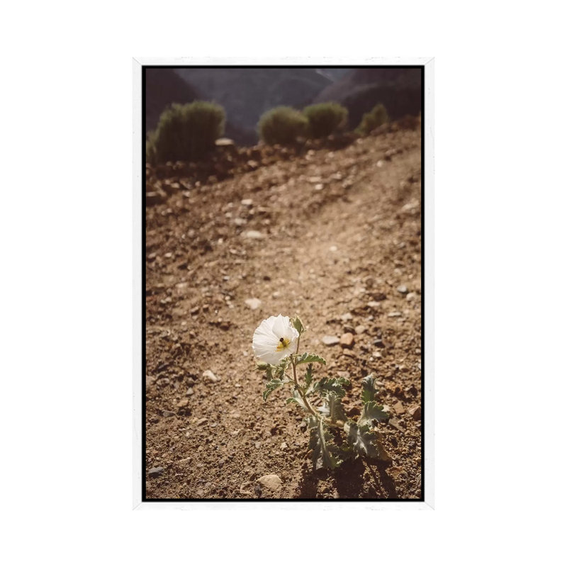 Yosemite Bloom III by Bethany Young - Print on Canvas, White Framed, 66.04cm H x 45.72cm W x 3.81cm D