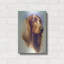 «Irish Setter» par Barbara Keith-68649397