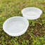 Elnath Plastic Feeding Station