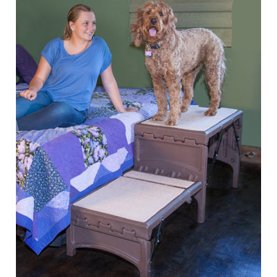 Escalier pour animal 2 marches pliable sur pieds