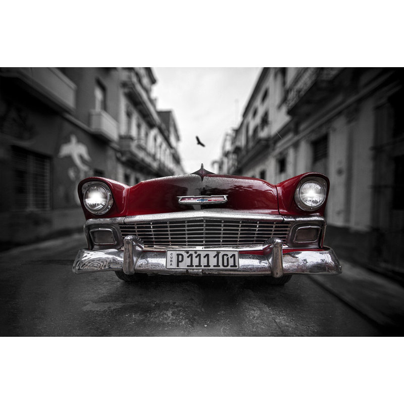 Wrapped Canvas Print, 50.8 cm H x 76.2 cm W