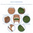 Starner 2 - Person Patio Conversation Set with Cushions-248589667-248589694