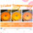 Orange Citrus Circle Lamp