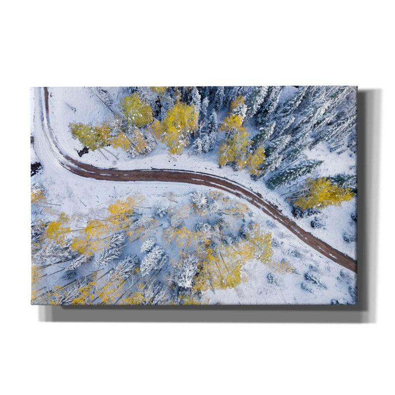 Millwood Pines «Snowmass Road» par Jonathan Ross, art mural sur toile, H 12 po x l 18 po x P 0,75 po