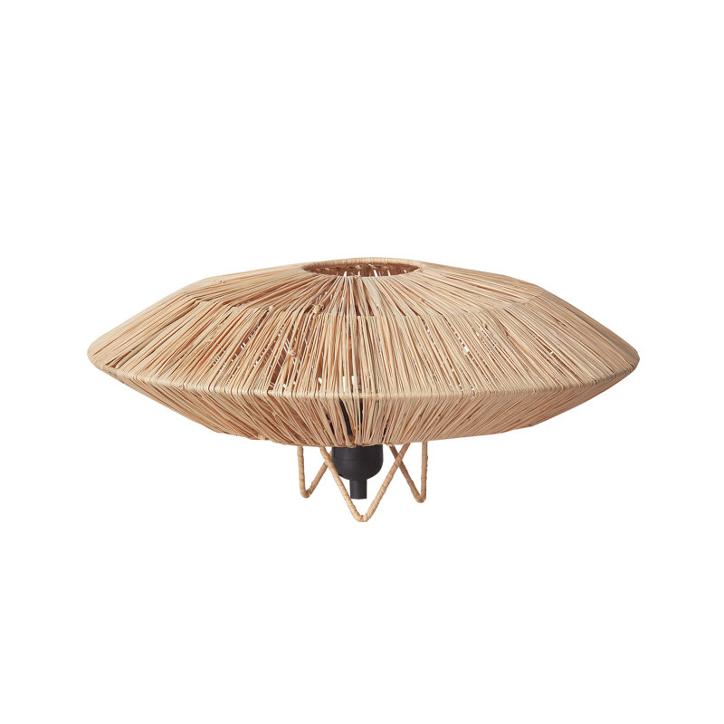 Anegla Iron Novelty Lamp