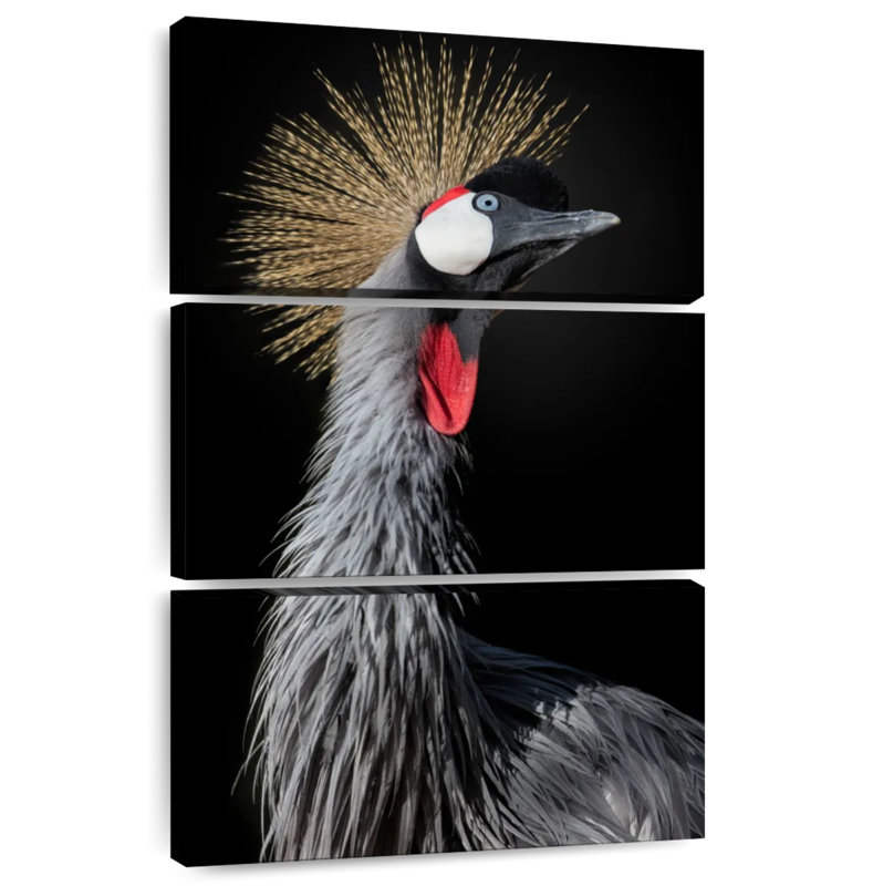 Brampt The Queen Crane, H 74 po x l 48 po