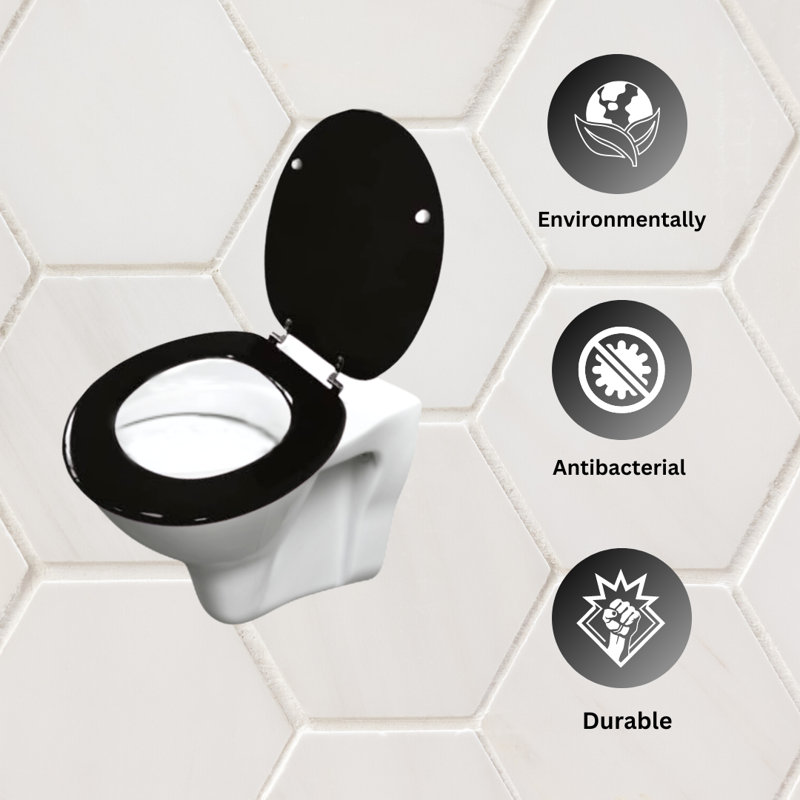 Actaeon Soft Close Elongated Standard Toilet Seat, Black