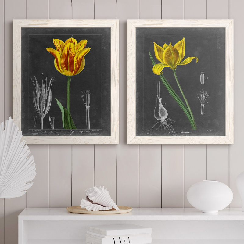 «Midnight Tulip», reproduction encadrée prémium, H 24 po x l 36 po x P 1,5 po, Toile blanche encadrée, Pas de tapis