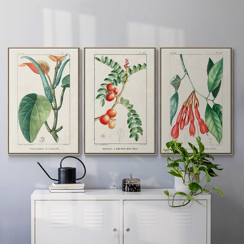 Turpin Tropical Botanicals I, ensemble de 3 toiles encadrées, Bois naturel, H 40 po x l 78 po